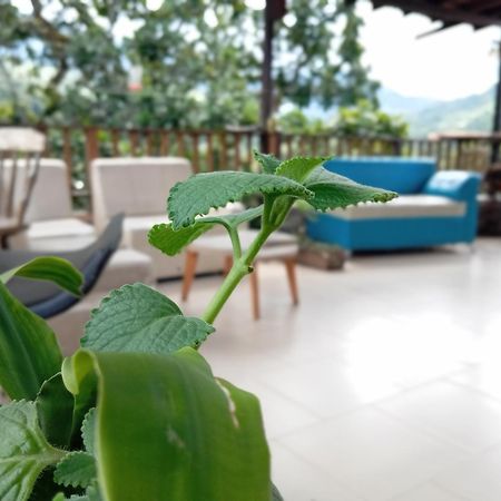 Hostal Los Wichos Minca Εξωτερικό φωτογραφία