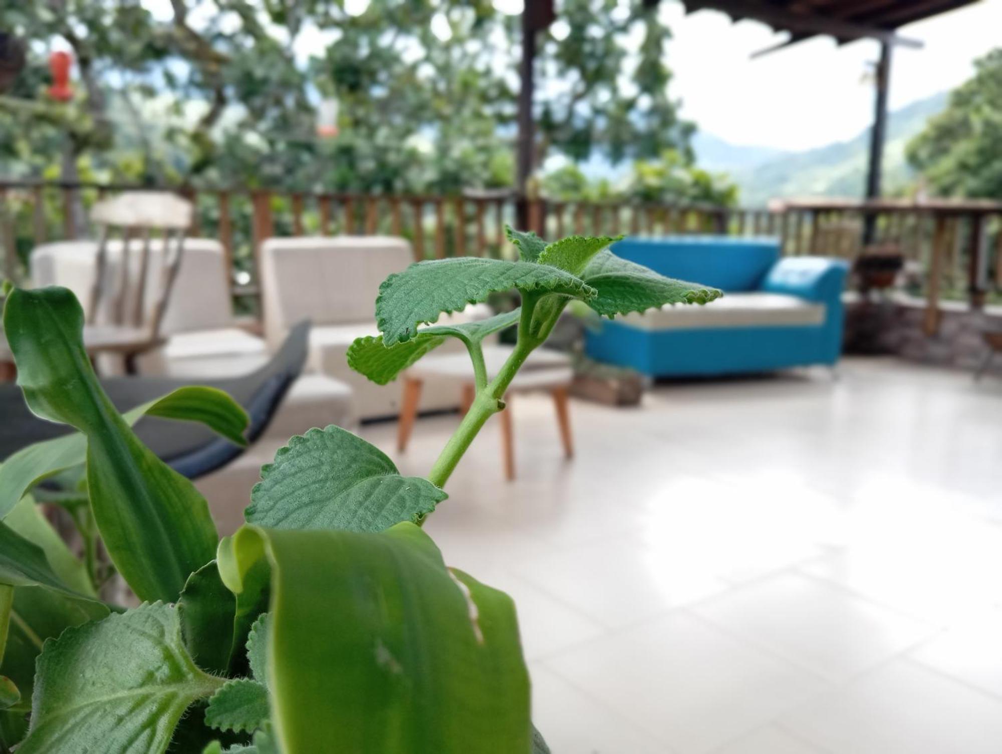 Hostal Los Wichos Minca Εξωτερικό φωτογραφία